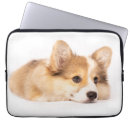 Search for cutest electronics Pembroke welsh corgi