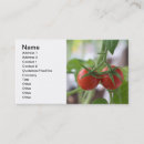 Search for cherry business cards Branch