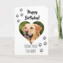 Search for fur baby cards Cat