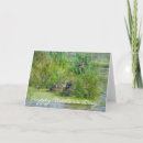 Search for fly photo cards Travel