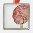 Search for human body part christmas tree decorations Internal