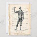 Search for anatomi invitations Anatomy