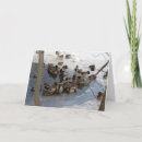 Search for frozen christmas cards Pond