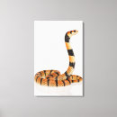 Search for snakes canvas prints Animals