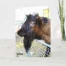Search for goates cards Agriculture