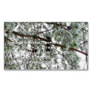 Search for pine tree business cards Nature