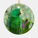 Search for parrot christmas tree decorations Green