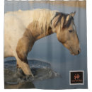 Search for western photography Wild horses of utah