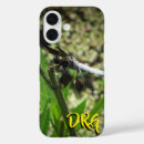 Search for dragon photography Dragonflies