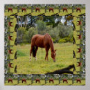 Search for bordered image posters Animal