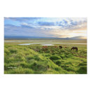 Search for country scene posters Horses