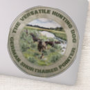 Search for german shorthaired pointers stickers Gsp
