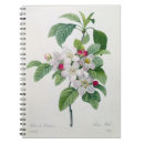 Search for apple blossom notebooks Botanical