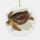 Search for sea turtle christmas tree decorations Coastal