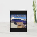 Search for cat meme cards Kittie
