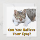Search for cat eye Meow