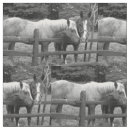 Search for equestrian fabric Country