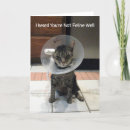 Search for feline cards Humour