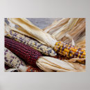 Search for assorted colours posters Assortment