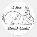 Search for flemish Giant