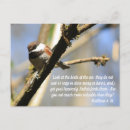 Search for matthew postcards Christianity