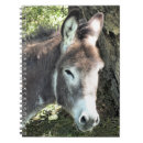 Search for donkey notebooks Farm animal