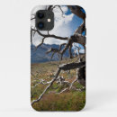 Search for chile iphone cases Superstock