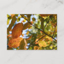 Search for fall business cards Nature