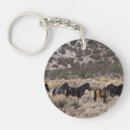 Search for mustang key rings Desert