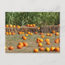 Search for harvest autumn postcards Fall