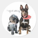 Search for no regrets stickers I regret nothing