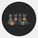 Search for celestial light stickers Spooky vibes