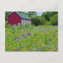 Search for country countryside postcards Barn