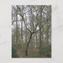 Search for ugly postcards Beautiful