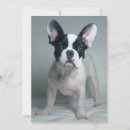 Search for bulldog thank you cards Canine