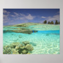 Search for snorkelling art Beach