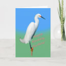 Search for husband birthday cards White