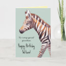 Search for cute zebra Safari