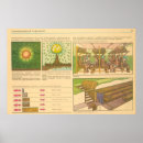 Search for vintage propaganda posters Soviet