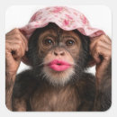 Search for chimpanzee stickers Primate