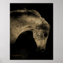 Search for graphic horses posters Photography