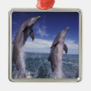 Search for aquatic christmas tree decorations Marine life