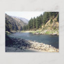 Search for salmon postcards Nature