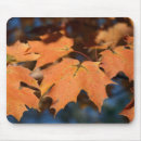 Search for autumn mousepads Orange