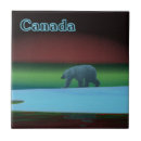 Search for bear tiles Nature