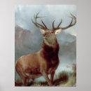 Search for glen posters Deer
