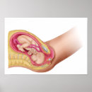 Search for biomedical posters Digitally generated image