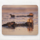 Search for otter mousepads Mammal
