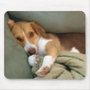 Search for beagle mousepads Pet