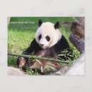 Search for smithsonian postcards Winter